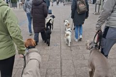 1000190673-scaled